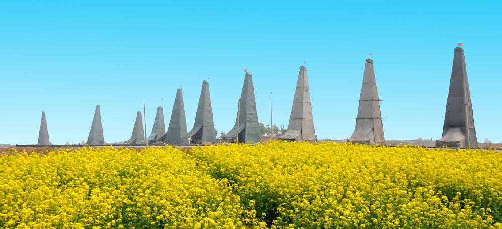 1685501250954349.png 31.png