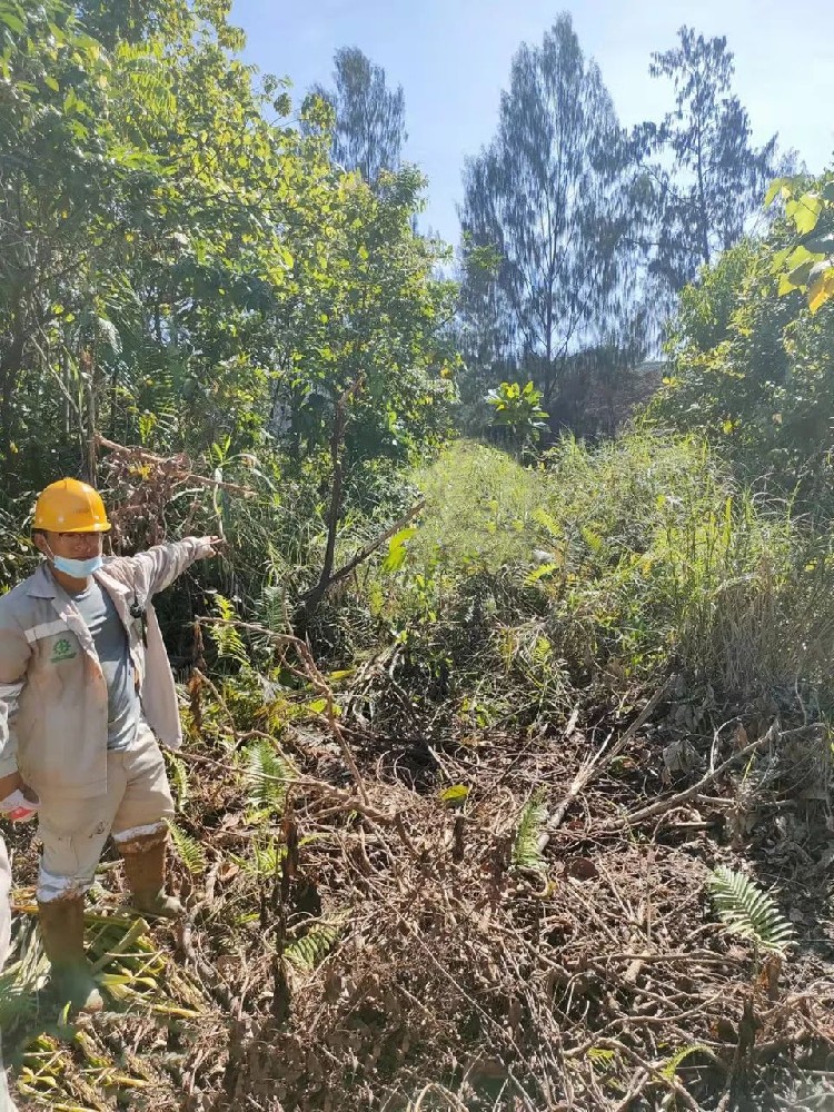 1688986368117810.jpg 1688986368117810.jpg